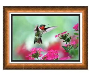 Capture 4 - Humming Bird Example